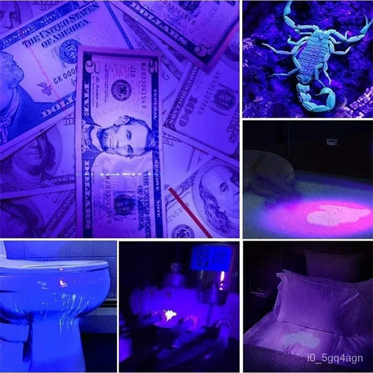 UV Flashlight for Bed Bug Detection and Stain Finder