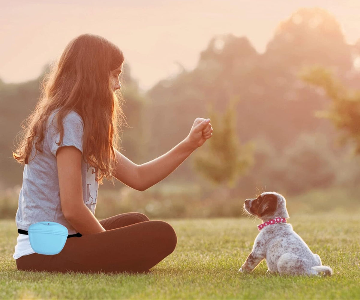 Dog Treat Pouch with Clip, Flip Cover, and Strong Magnet Closure – Portable Silicone Training Bag Perfect for Walking, Trainers, and Puppy Rewards