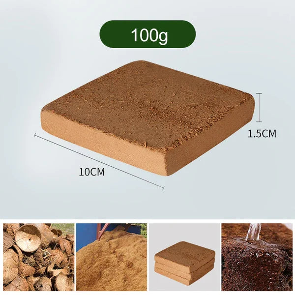 Organic Coconut Coir For Plants