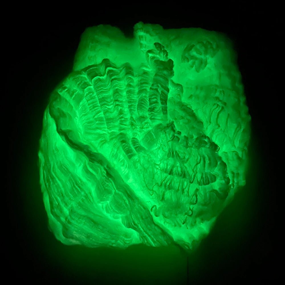 Luminous Glow in the Dark Spider Web Decoration - Creepy Crawly Glow Spider Web