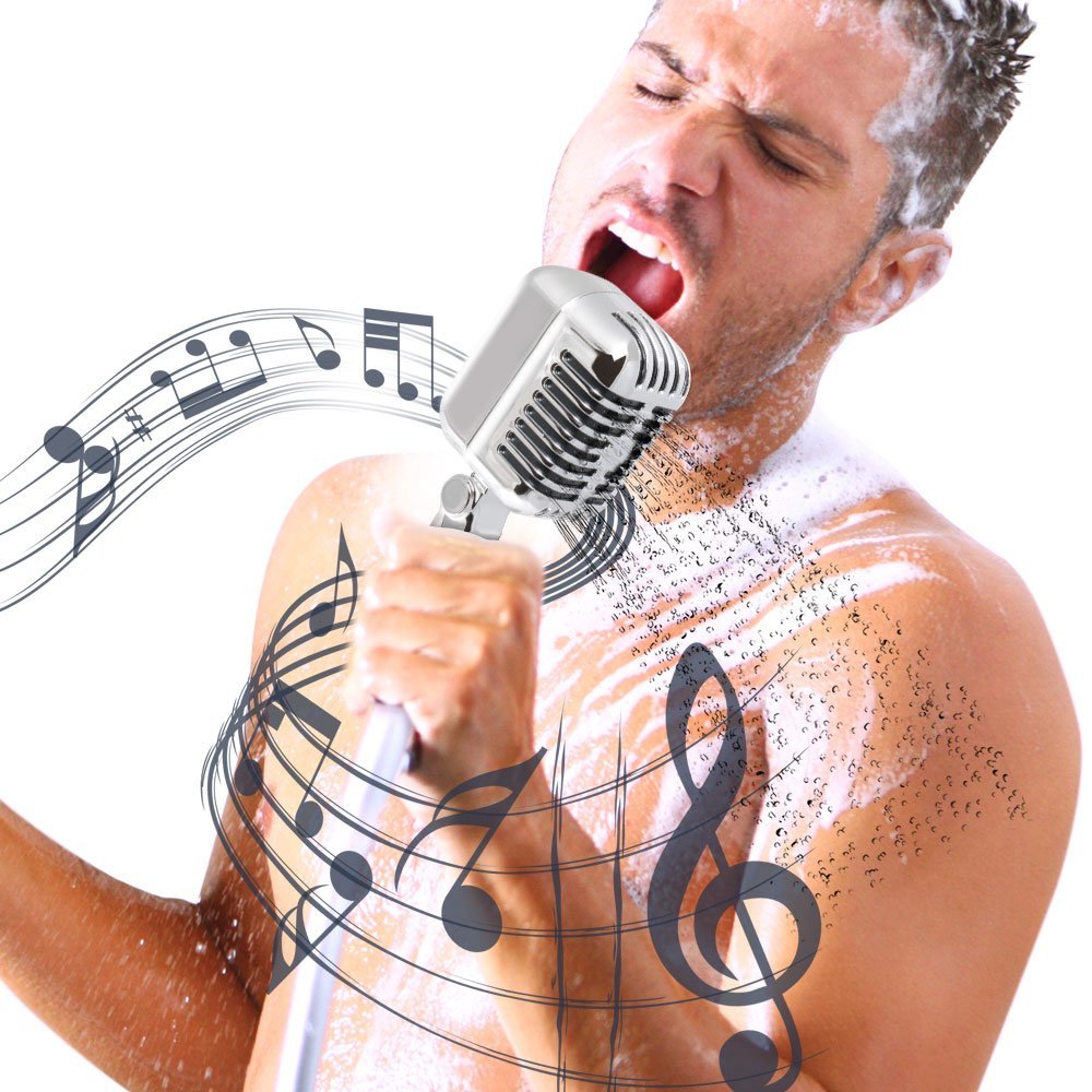 Microphone-Shaped Shower Head – A Fun & Unique Bathroom Accessory for Music Lovers, Perfect Gift for Men & Women