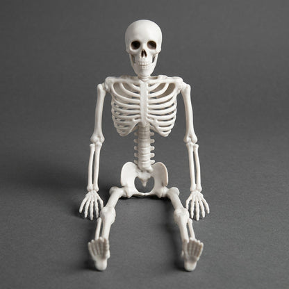 16 Inch Poseable Skeleton – Creepy Halloween Skeleton Decorations