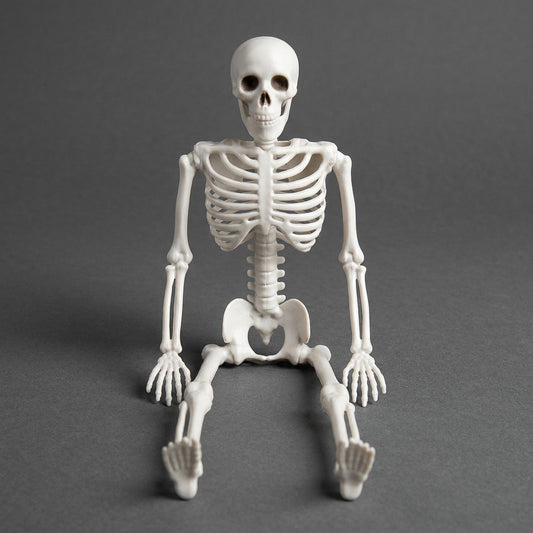 16 Inch Poseable Skeleton – Creepy Halloween Skeleton Decorations