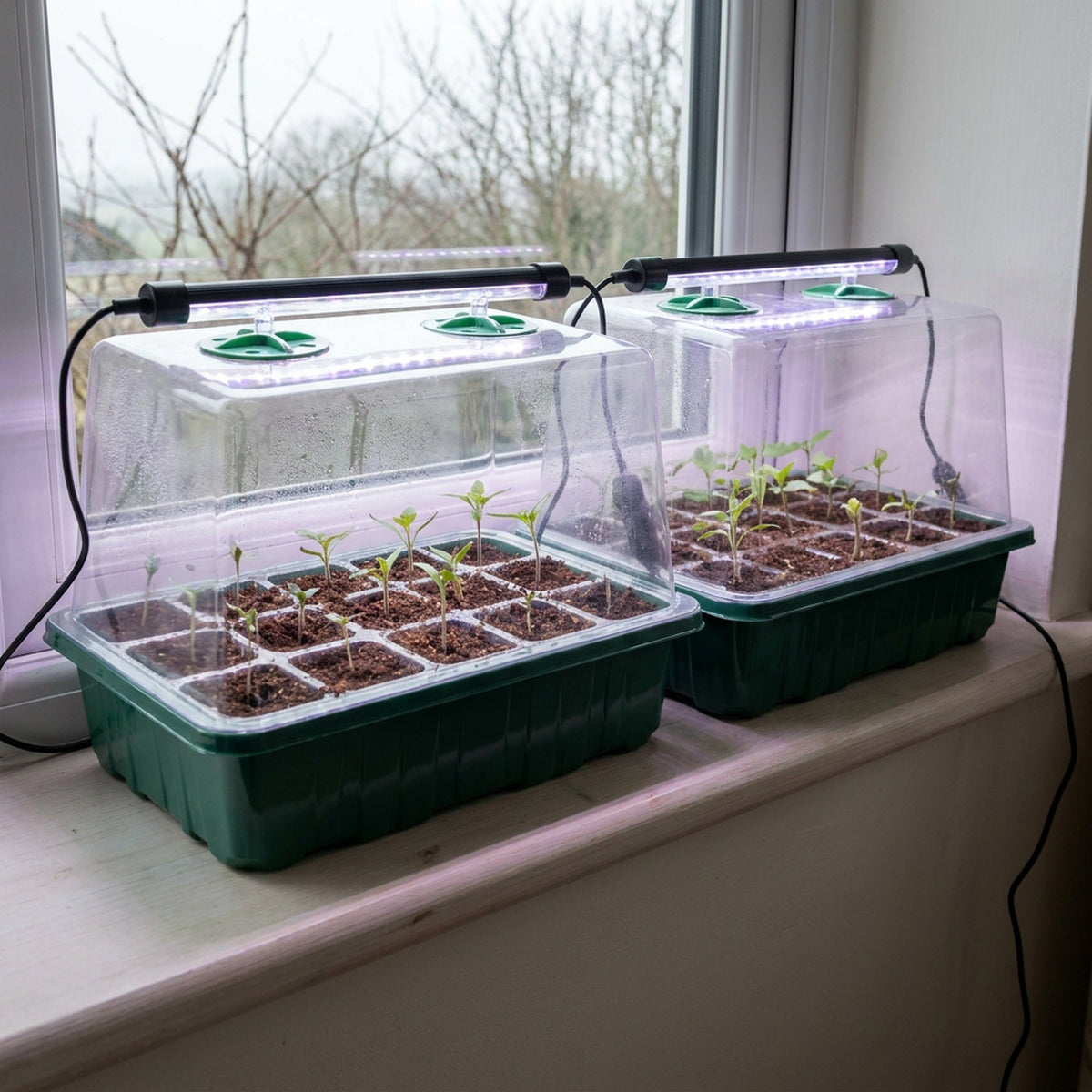 Seed Starter Trays with LED Grow Lights – 2 Trays, 40 Cells Each (80 Cells Total), High Dome Germination Kit for Winter Seedlings & Indoor Growing