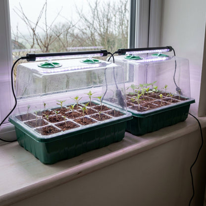 Seed Starter Trays with LED Grow Lights – 2 Trays, 40 Cells Each (80 Cells Total), High Dome Germination Kit for Winter Seedlings & Indoor Growing