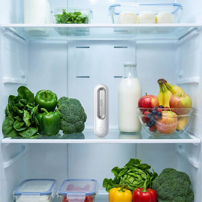 Refrigerator Air Purifier – Deodorizer & Food Freshness Extender for a Clean Fridge