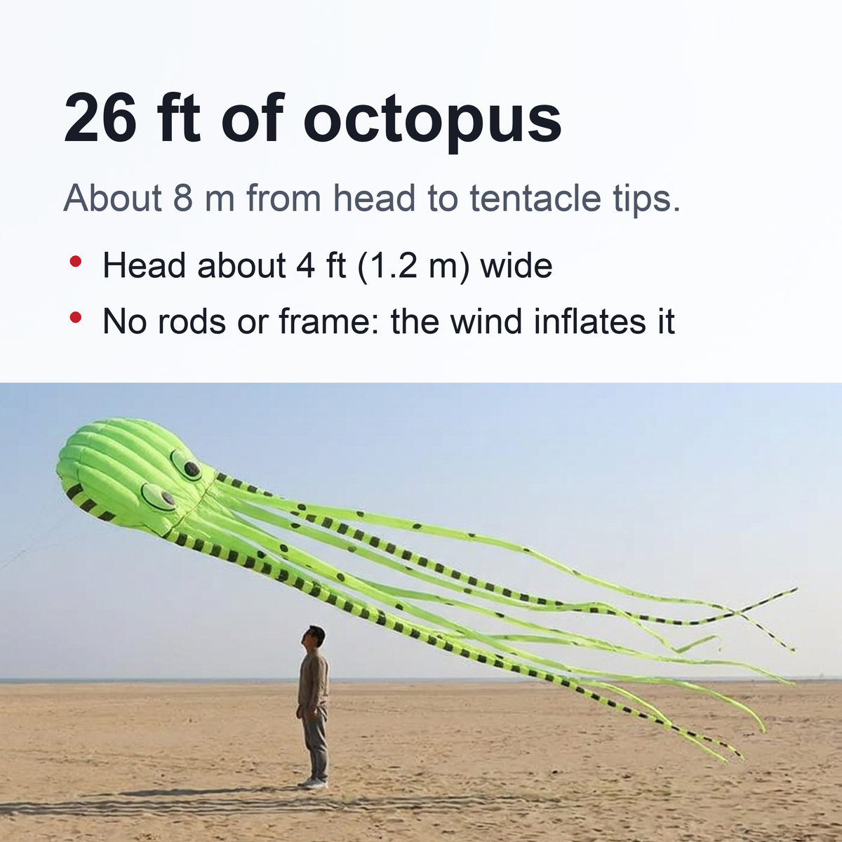 Long Giant Octopus Kite - Outdoor Toy (8-Meter)