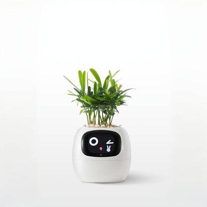 Ivy Smart Planter Robot – Interactive AI Plant Pot with Sensors, Emoticons and Personalized Lighting for Smart Indoor Plant Care