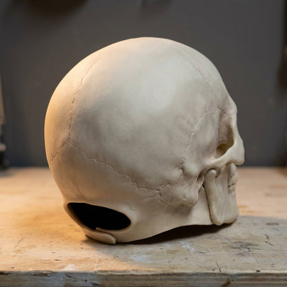 Movable Mouth Skull Mask - Halloween Full Head Skeleton Mask