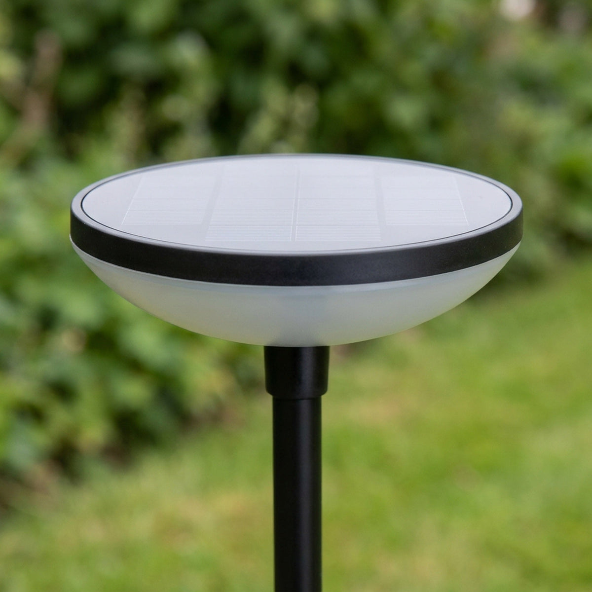 Solar Garden Pathway Lights - Adjustable-Height Path Markers with Auto Dusk-to-Dawn, 2 or 6 Lights