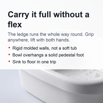 Professional Foot Tub Basin