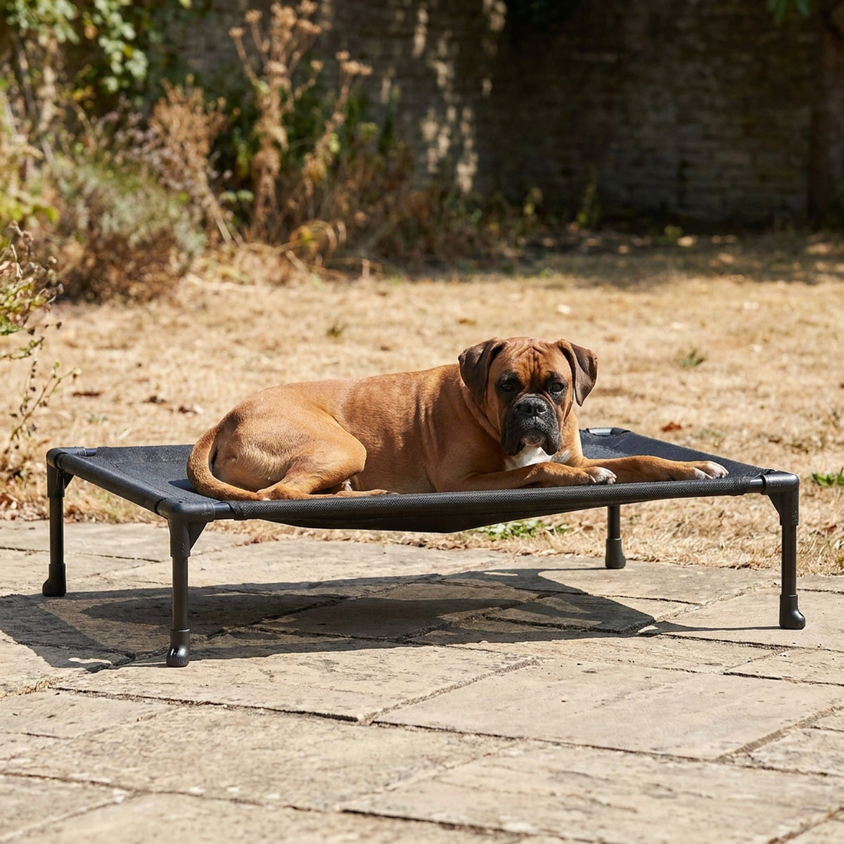 Raised Breathable Cooling Elevated Dog Bed with Pillow-Top – Mesh Bolster Pet Cot for Indoor/Outdoor Summer Comfort & Joint Support