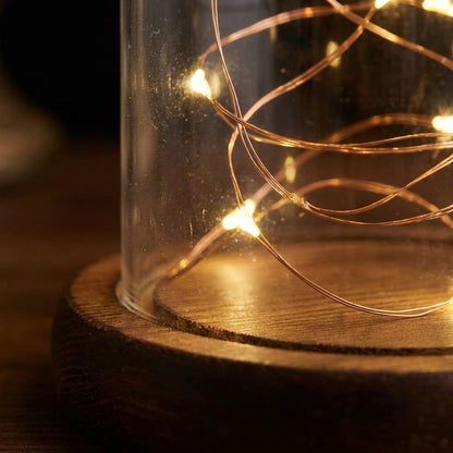 Preserved Rose in Glass Dome – LED Beauty & The Beast Flower for Romantic Gifts & Elegant Home Décor