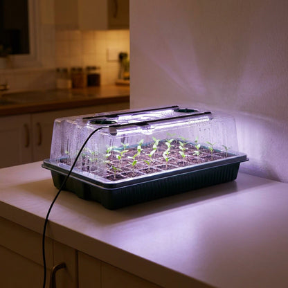 Seed Starter Trays with LED Grow Lights – 2 Trays, 40 Cells Each (80 Cells Total), High Dome Germination Kit for Winter Seedlings & Indoor Growing