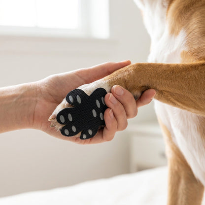 Disposable Dog Paw Pads - Self-Adhesive Rubber-Tread Stickers, Set of 4 in Black, Pink or Blue
