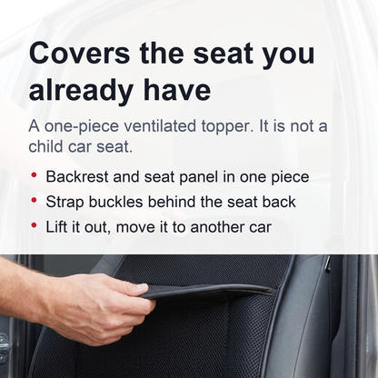 Ventilated Car Seat Cushion - 12V Fan Cooling with Lumbar Massage