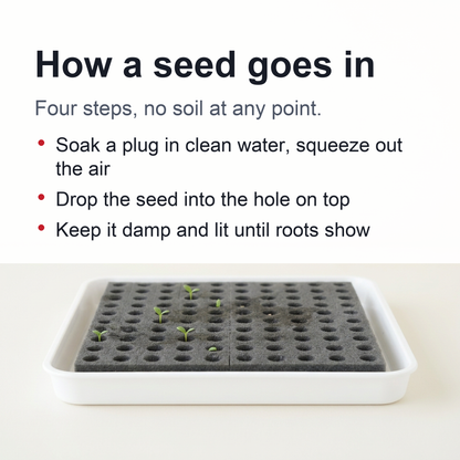 Hydroponic Grow Sponge Set – Soilless Seedling Plugs for Nursery Trays, Vegetable Propagation, Indoor Gardens and Seed Starting