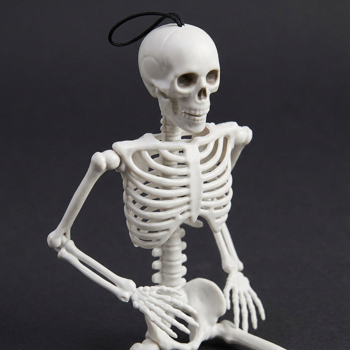 16 Inch Poseable Skeleton – Creepy Halloween Skeleton Decorations