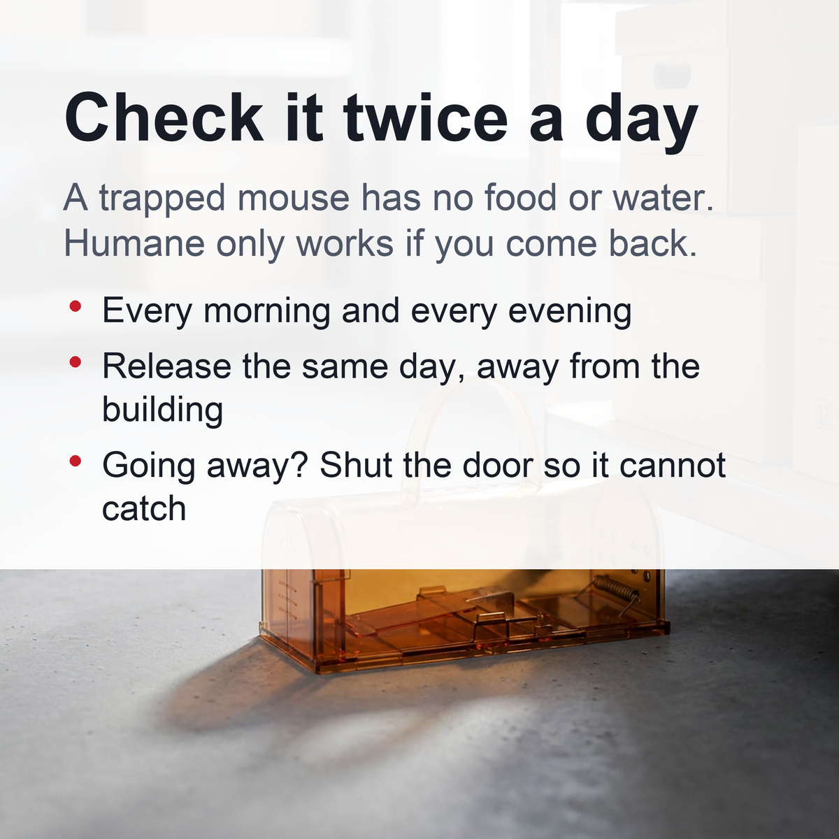 Reusable Humane Mouse Trap – Transparent Self-Locking Mousetrap for Indoor and Outdoor Rodent Control