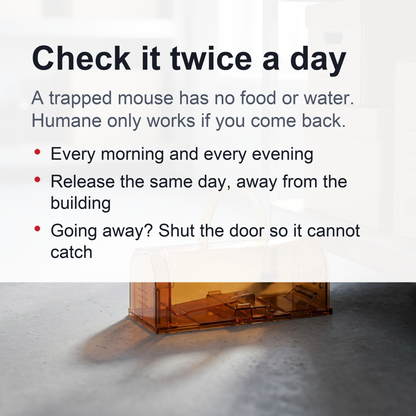 Reusable Humane Mouse Trap – Transparent Self-Locking Mousetrap for Indoor and Outdoor Rodent Control