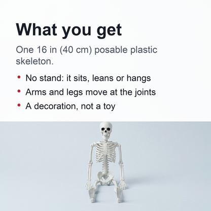 16 Inch Poseable Skeleton – Creepy Halloween Skeleton Decorations