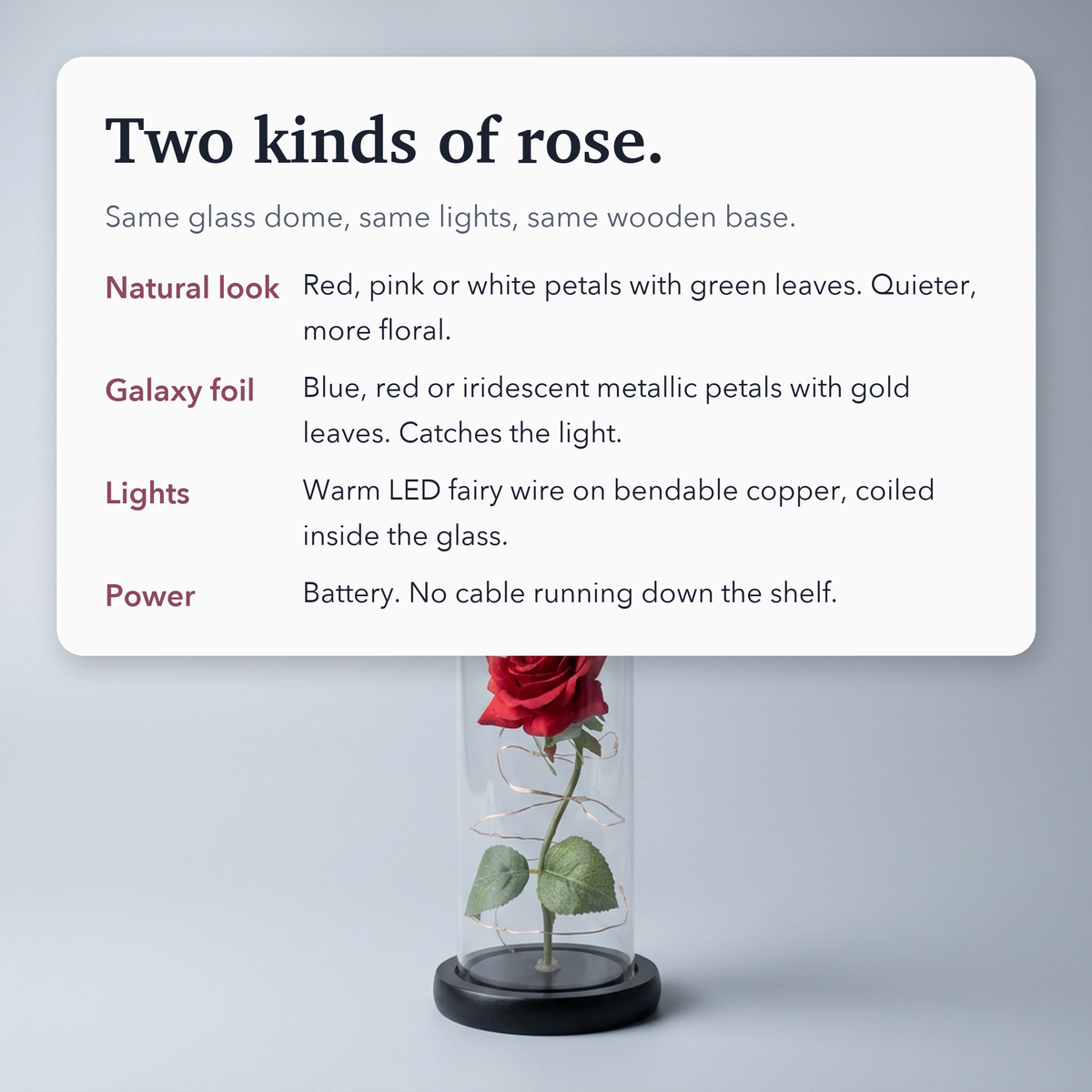 Preserved Rose in Glass Dome – LED Beauty & The Beast Flower for Romantic Gifts & Elegant Home Décor