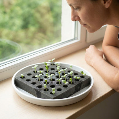 Hydroponic Grow Sponge Set – Soilless Seedling Plugs for Nursery Trays, Vegetable Propagation, Indoor Gardens and Seed Starting