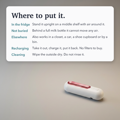 Refrigerator Air Purifier – Deodorizer & Food Freshness Extender for a Clean Fridge