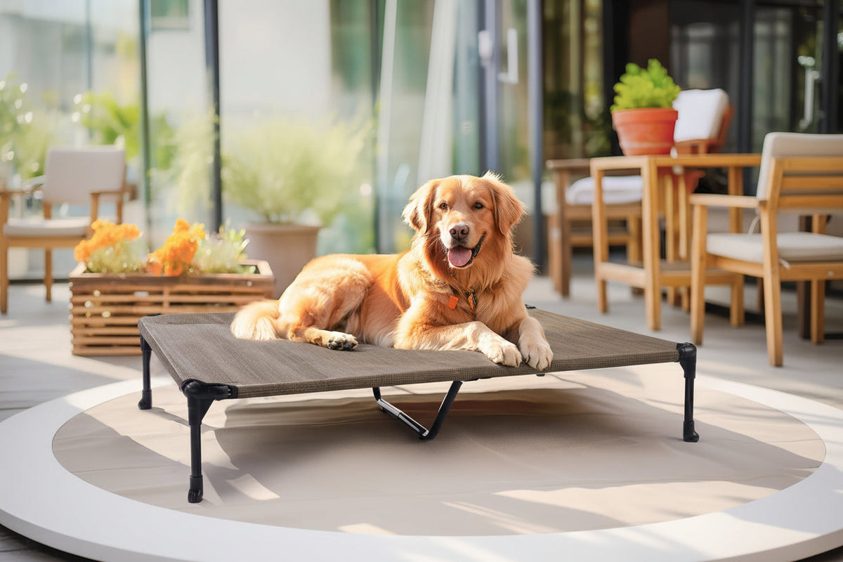 Raised Breathable Cooling Elevated Dog Bed with Pillow-Top – Mesh Bolster Pet Cot for Indoor/Outdoor Summer Comfort & Joint Support