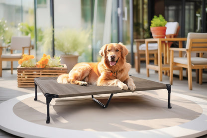 Raised Breathable Cooling Elevated Dog Bed with Pillow-Top – Mesh Bolster Pet Cot for Indoor/Outdoor Summer Comfort & Joint Support