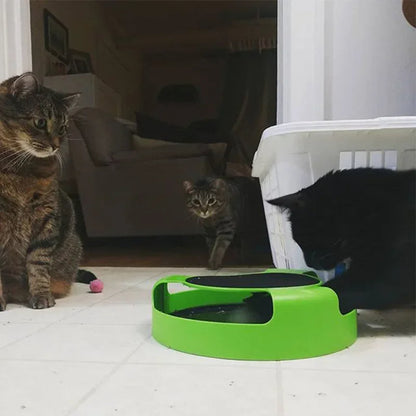 Cat Turntable Scratching Toy – High Mouse Trap Game Board for Educational Play, Fun Pet Entertainment with Scratching & Swivel Action
