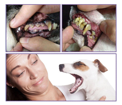 Pet Dental Cleaning Gel Pen – Removes Dog Tooth Stains, Tartar, Bad Breath & Plaque for Whiter, Healthier Teeth