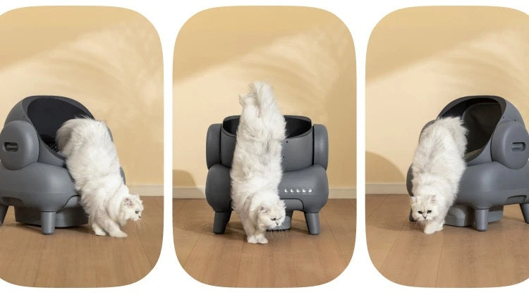 Automatic Cat Litter Box – Smart Self-Cleaning Open Cat Toilet System with Odor Control, Designed for Clean, Effortless Pet Care