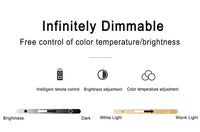 Nordic Minimalist Moon Acrylic LED Mount Ceiling Light