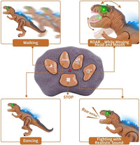 Remote Control T-Rex Dinosaur With LED Light Up, Walking & Roaring Realistic Dinosaur Toys