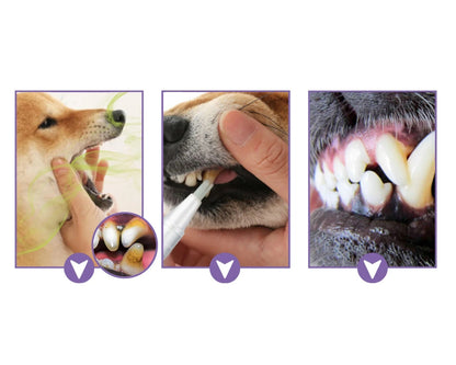 Pet Dental Cleaning Gel Pen – Removes Dog Tooth Stains, Tartar, Bad Breath & Plaque for Whiter, Healthier Teeth