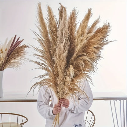 Dried Pampas Grass & Wild Flowers –30 pcs Pampas Elegant Boho Wedding Decor, Summer Table Centerpiece or Thoughtful Gift for Seasonal Celebrations
