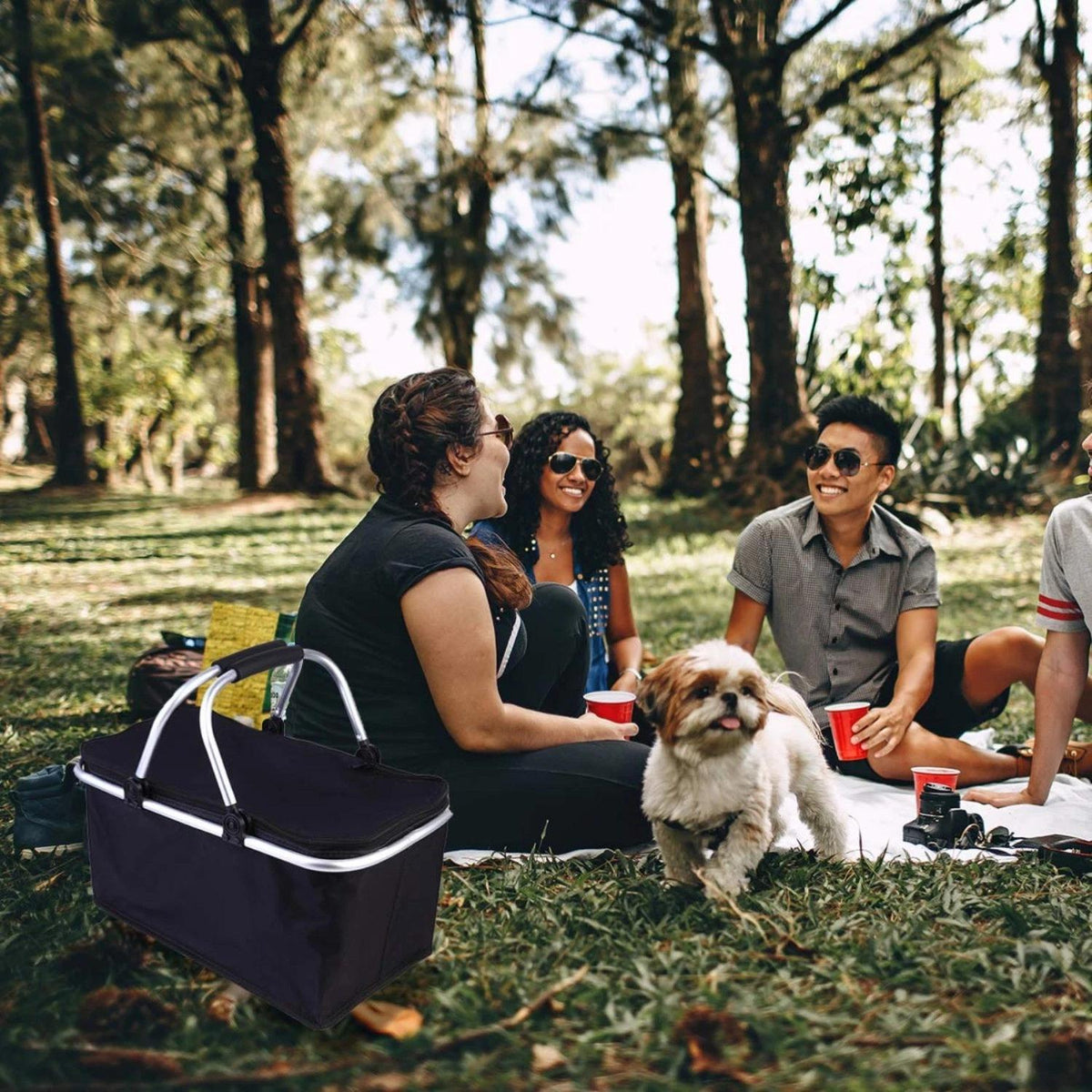 Collapsible Insulated Picnic Basket Cooler – 30L Aluminum Handle Food Storage Bag with Thermal Heat & Cold Retention for Grocery, Delivery or Outdoor Travel