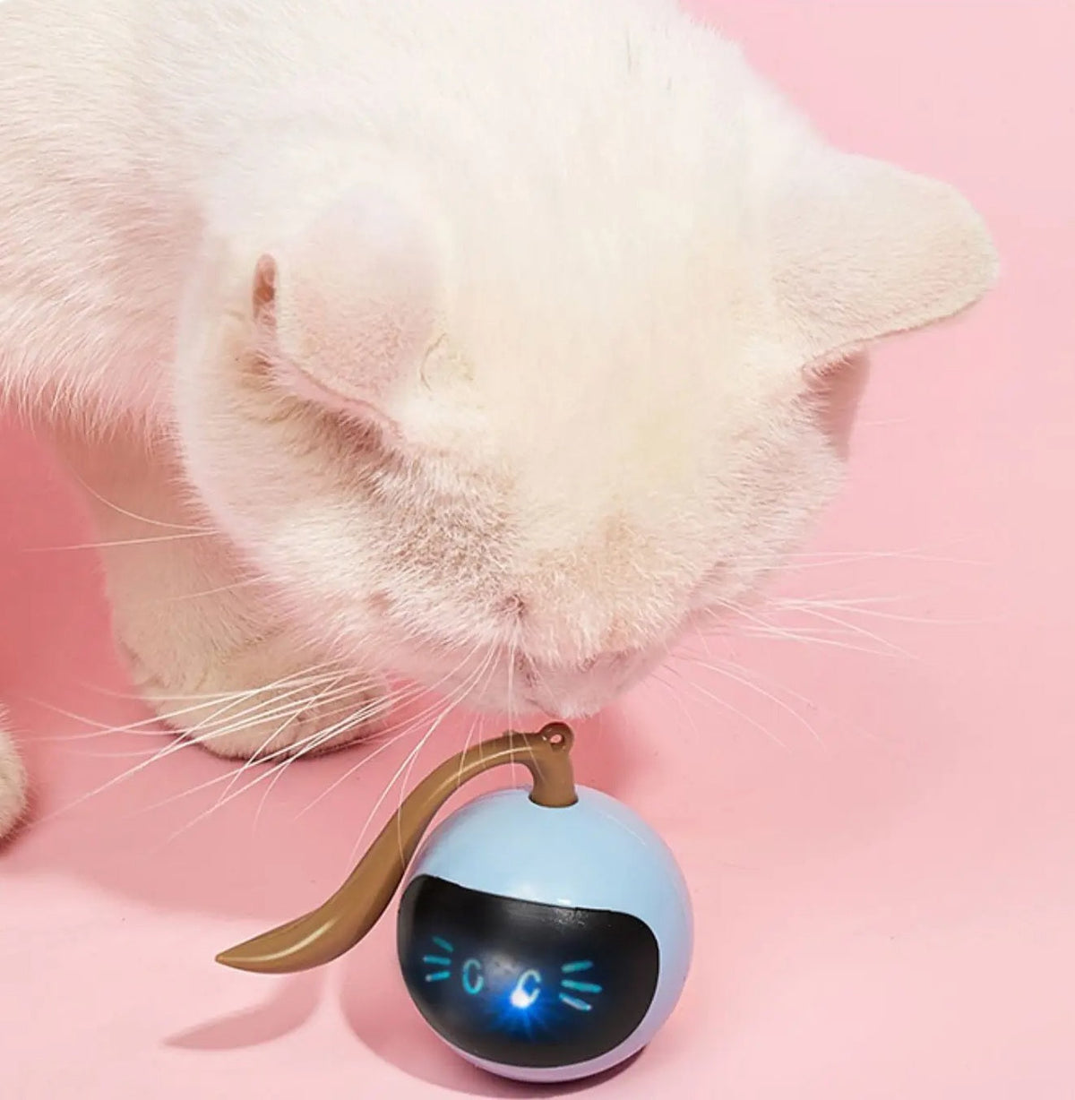 Crazy Cat Teaser Toy – Rolling Interactive Ball with LED Lights for Fun, Active, Auto-Chasing Pet Entertainment Anytime