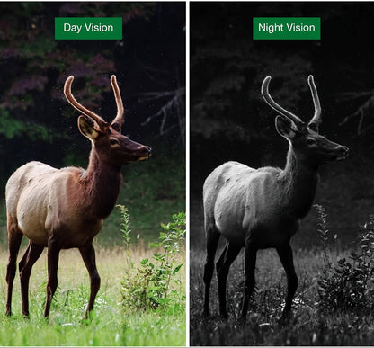 Trail Camera with Night Vision – 20MP Motion-Activated Wildlife Monitoring Camera with 0.8s Trigger and 1080P Video