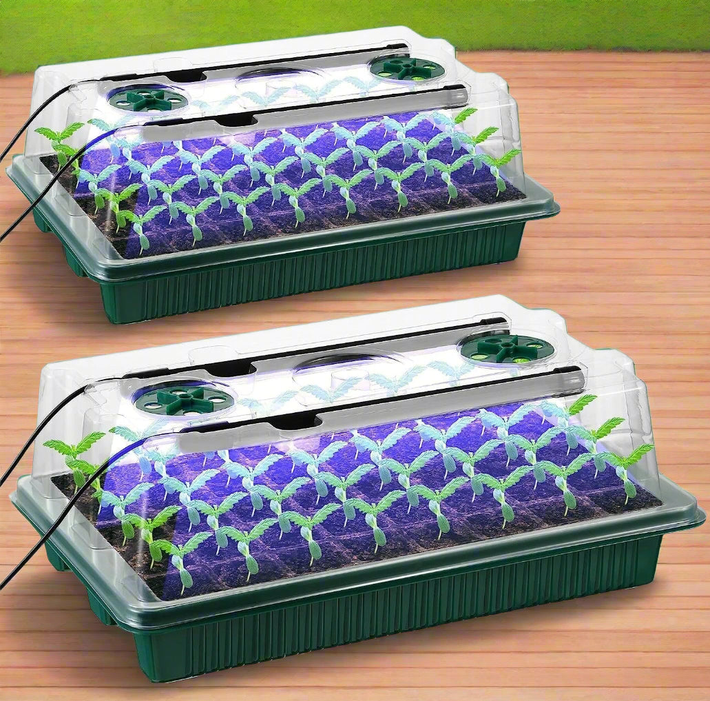 Seed Starter Trays with LED Grow Lights – 2 Trays, 40 Cells Each (80 Cells Total), High Dome Germination Kit for Winter Seedlings & Indoor Growing