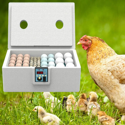Automatic Egg Incubator - 10-25 Egg Turning Machine with Temperature Control for Duck, Poultry or Farming Lab Hatchery Use