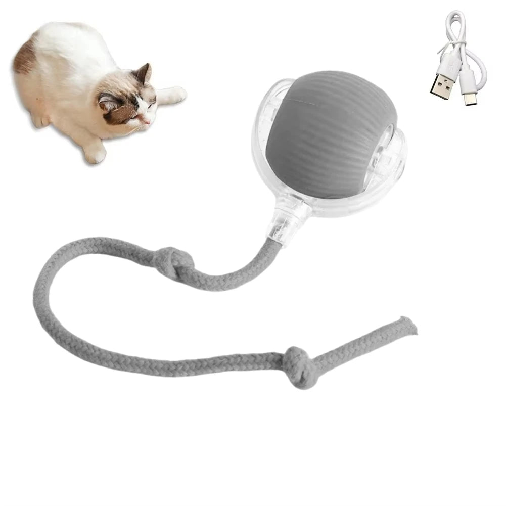 Interactive Auto-Rolling Cat Toy – Smart USB Rechargeable Ball for Endless Fun