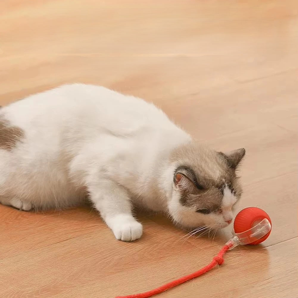 Interactive Auto-Rolling Cat Toy – Smart USB Rechargeable Ball for Endless Fun