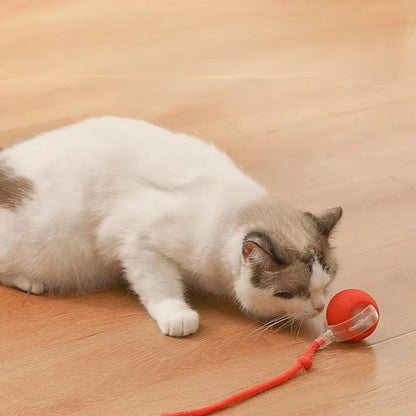 Interactive Auto-Rolling Cat Toy – Smart USB Rechargeable Ball for Endless Fun