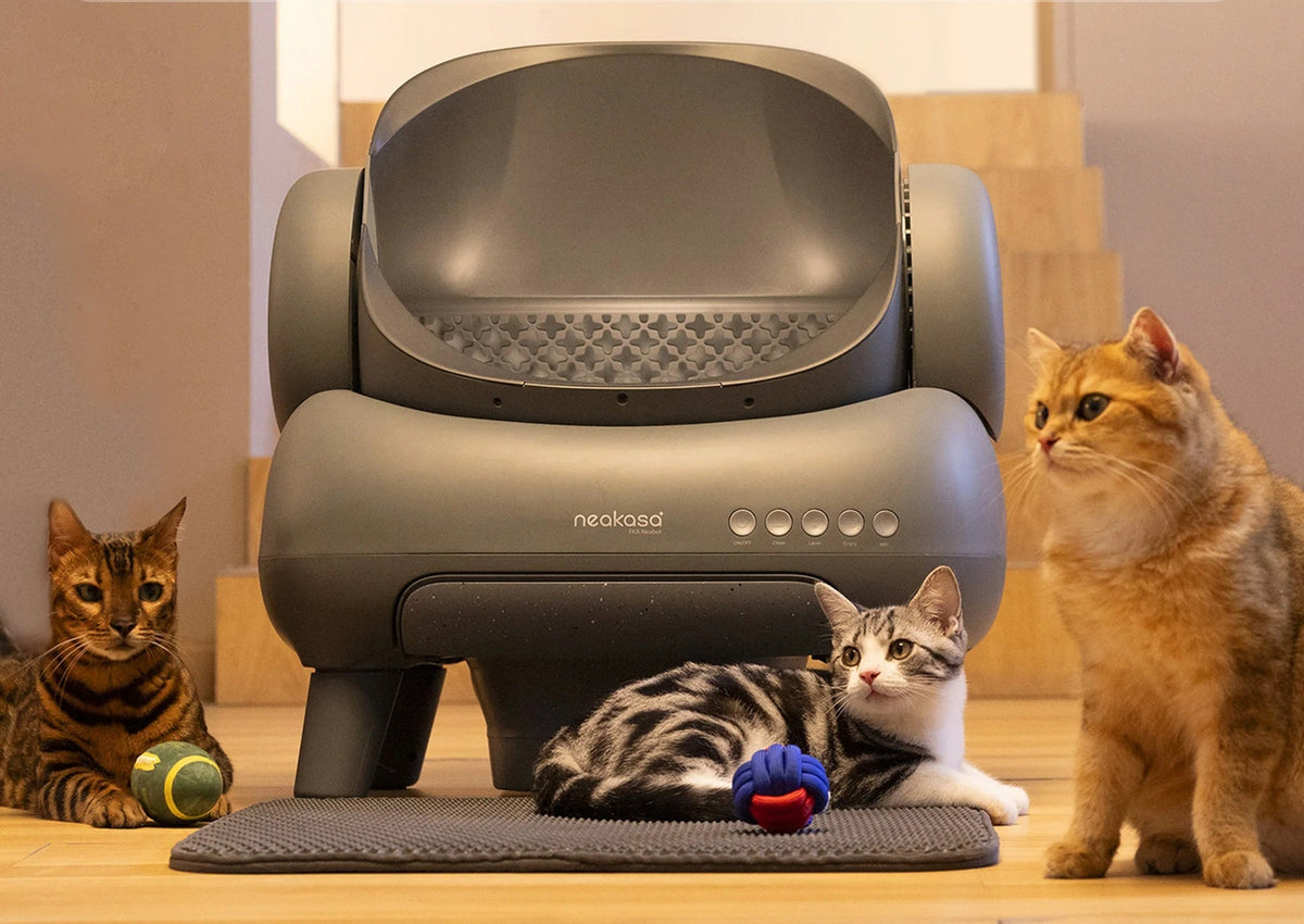Automatic Cat Litter Box – Smart Self-Cleaning Open Cat Toilet System with Odor Control, Designed for Clean, Effortless Pet Care