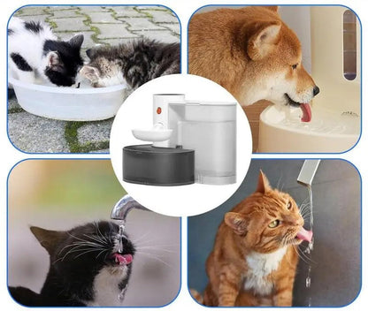 Smart Wireless Pet Water Drinking Fountain – 3L Fountain with Ultra-Quiet, 180-Day Battery, Automatic Hydration
