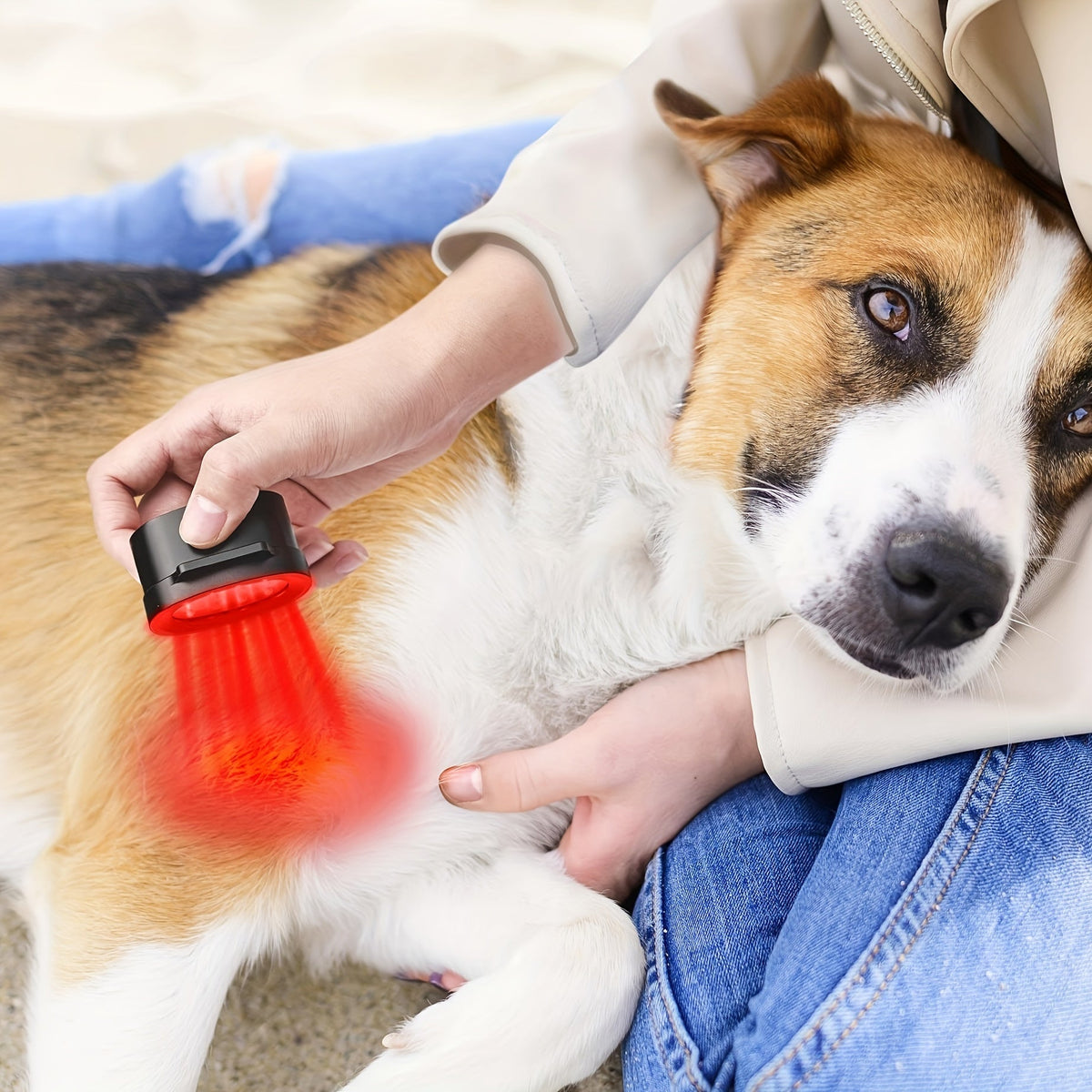 Red Light Therapy Device for Dogs – 660nm & 850nm Infrared Pet Health Lamp for Joint & Hip Pain Relief, USB Powered