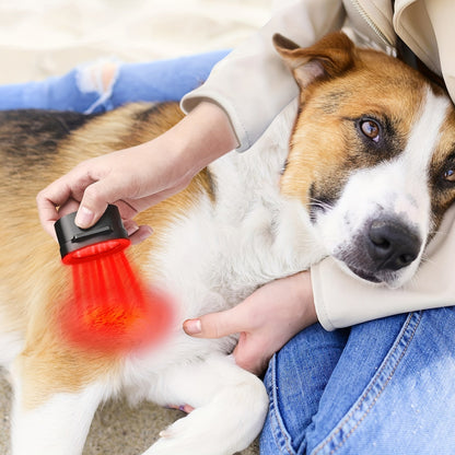 Red Light Therapy Device for Dogs – 660nm & 850nm Infrared Pet Health Lamp for Joint & Hip Pain Relief, USB Powered
