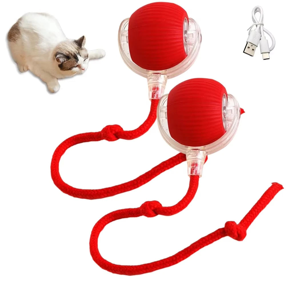 Interactive Auto-Rolling Cat Toy – Smart USB Rechargeable Ball for Endless Fun